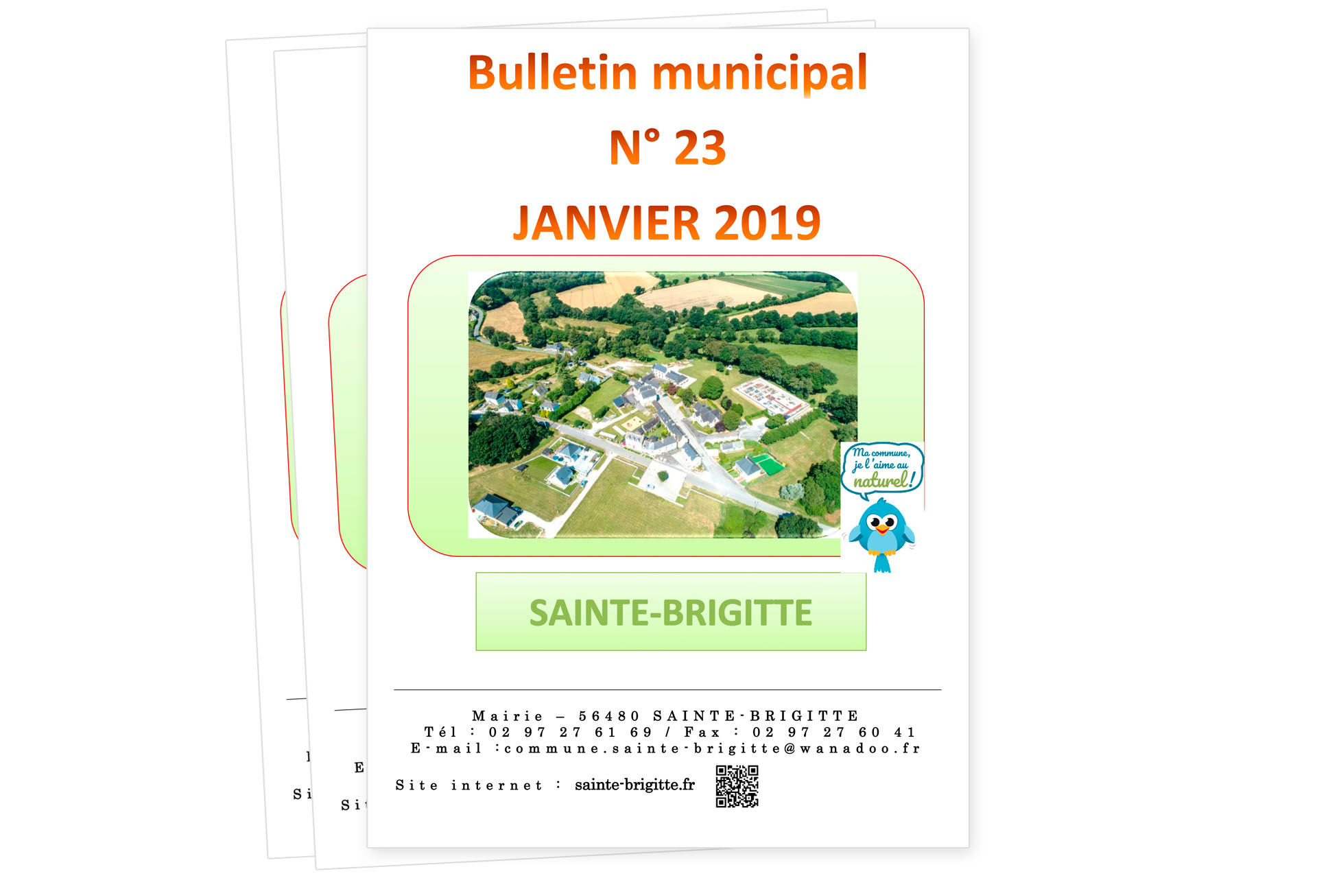 Bulletin Sainte-Brigitte