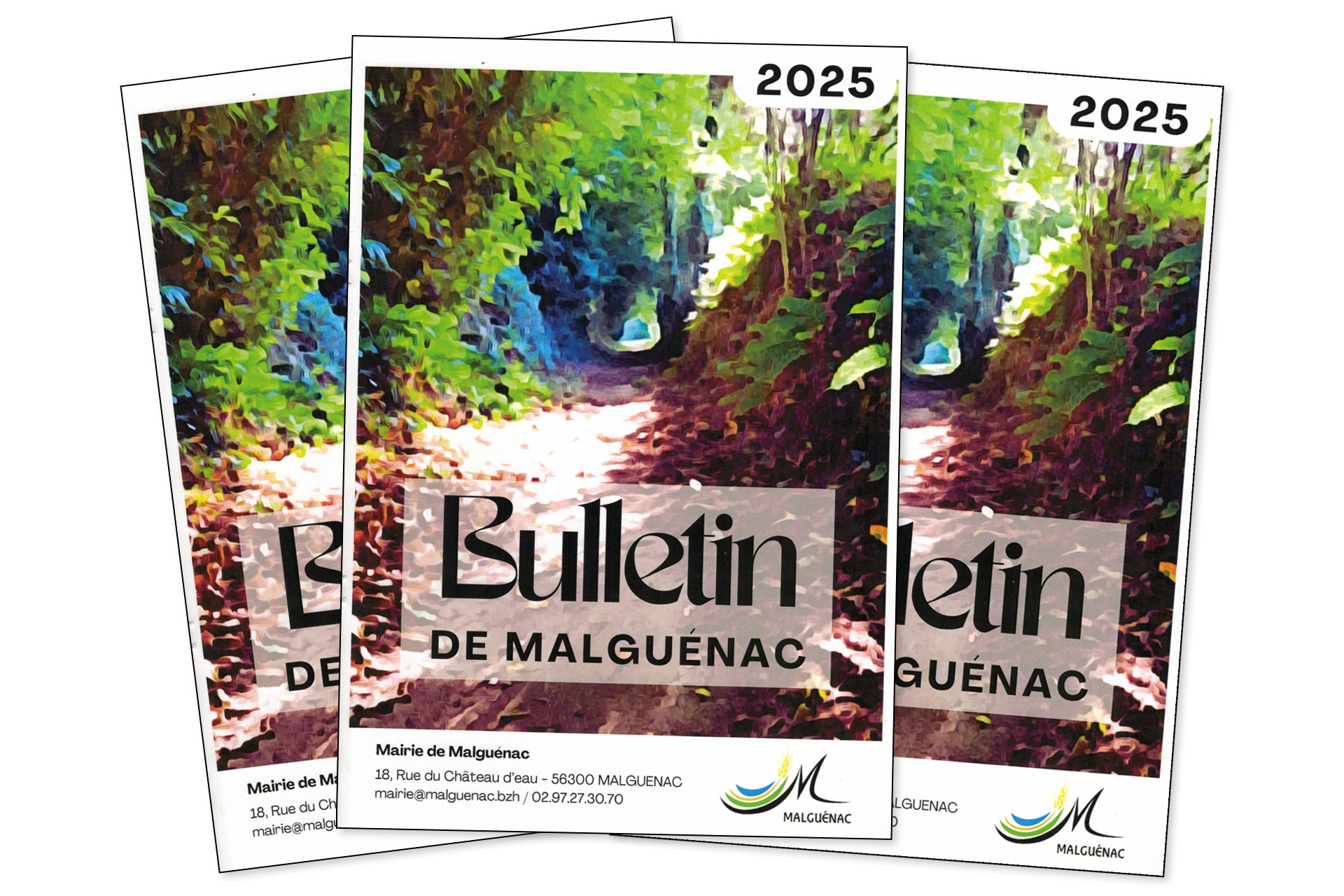 Bulletin de Malguénac
